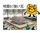 �h�Њ��ƌy�ʊ��̎O�B���E�_���b�O�B���̖��́b�n�k�ɋ�����