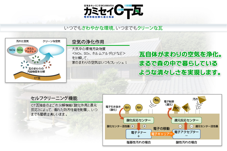 �J�~�Z�CCT��